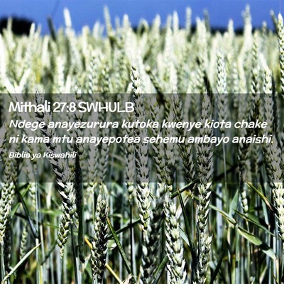 Picture 02 - Mithali 27:8 SWHULB - Ndege anayezurura kutoka kwenye kiota chake ni - Bible Verse Picture