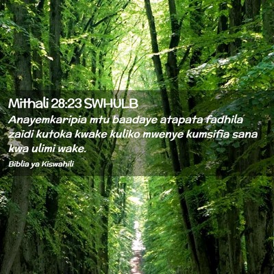 Picture 02 - Mithali 28:23 SWHULB - Anayemkaripia mtu baadaye atapata fadhila zaidi - Bible Verse Picture