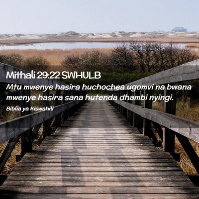 Picture 02 - Mithali 29:22 SWHULB - Mtu mwenye hasira huchochea ugomvi na bwana - Bible Verse Picture