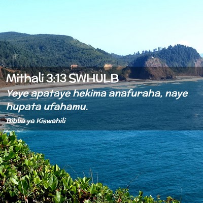 Picture 02 - Mithali 3:13 SWHULB - Yeye apataye hekima anafuraha, naye hupata - Bible Verse Picture