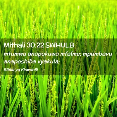 Picture 02 - Mithali 30:22 SWHULB - mtumwa anapokuwa mfalme; mpumbavu anaposhiba - Bible Verse Picture