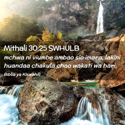 Picture 02 - Mithali 30:25 SWHULB - mchwa ni viumbe ambao sio imara, lakini huandaa - Bible Verse Picture