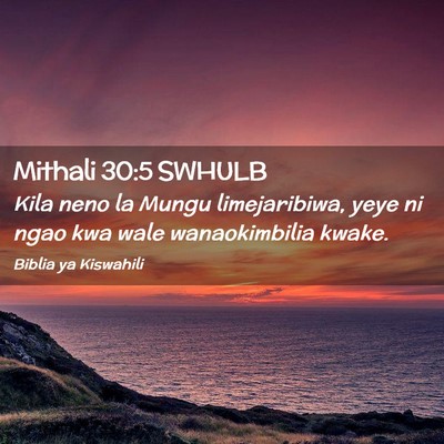 Picture 02 - Mithali 30:5 SWHULB - Kila neno la Mungu limejaribiwa, yeye ni ngao kwa - Bible Verse Picture