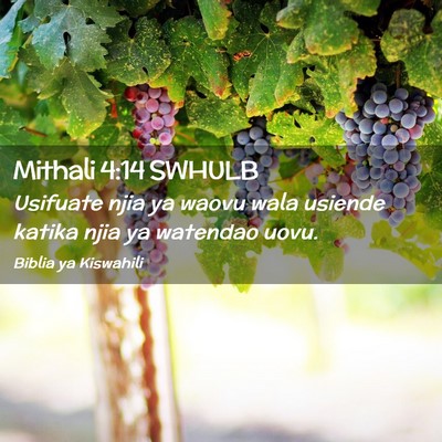 Picture 02 - Mithali 4:14 SWHULB - Usifuate njia ya waovu wala usiende katika njia - Bible Verse Picture
