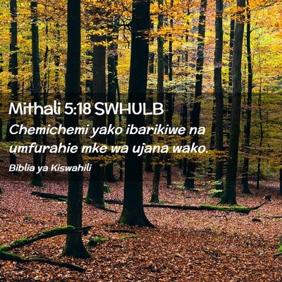 Picture 02 - Mithali 5:18 SWHULB - Chemichemi yako ibarikiwe na umfurahie mke wa - Bible Verse Picture