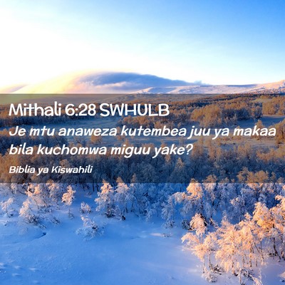Picture 02 - Mithali 6:28 SWHULB - Je mtu anaweza kutembea juu ya makaa bila - Bible Verse Picture