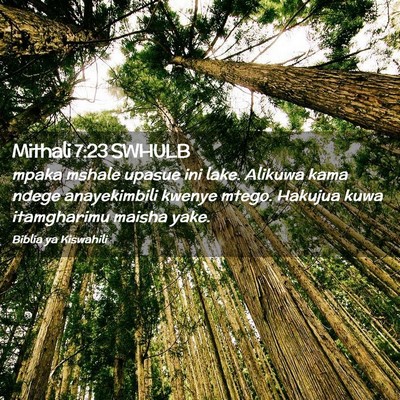 Picture 02 - Mithali 7:23 SWHULB - mpaka mshale upasue ini lake. Alikuwa kama ndege - Bible Verse Picture
