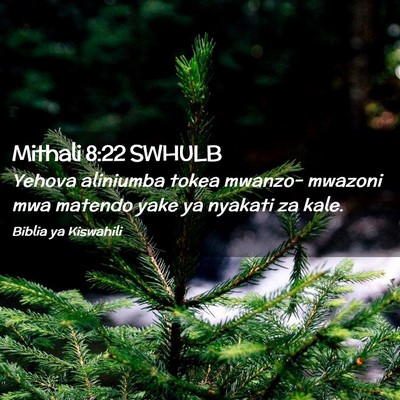 Picture 02 - Mithali 8:22 SWHULB - Yehova aliniumba tokea mwanzo- mwazoni mwa - Bible Verse Picture
