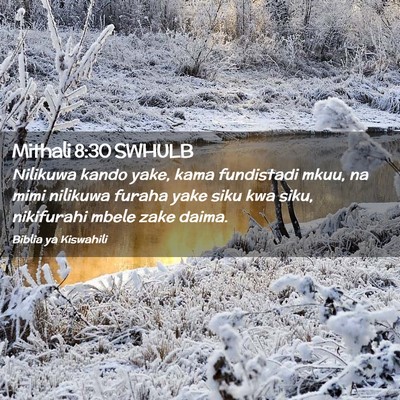 Picture 02 - Mithali 8:30 SWHULB - Nilikuwa kando yake, kama fundistadi mkuu, na - Bible Verse Picture