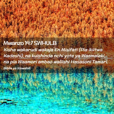 Picture 02 - Mwanzo 14:7 SWHULB - Kisha wakarudi wakaja En Misifati (Pia ikiitwa - Bible Verse Picture