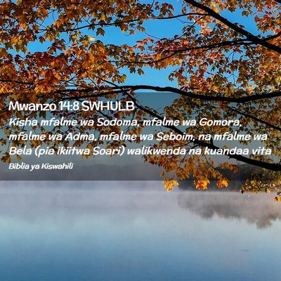 Picture 02 - Mwanzo 14:8 SWHULB - Kisha mfalme wa Sodoma, mfalme wa Gomora, mfalme - Bible Verse Picture