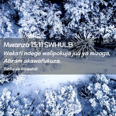 Picture 02 - Mwanzo 15:11 SWHULB - Wakati ndege walipokuja juu ya mizoga, Abram - Bible Verse Picture