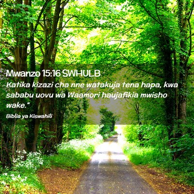 Picture 02 - Mwanzo 15:16 SWHULB - Katika kizazi cha nne watakuja tena hapa, kwa - Bible Verse Picture