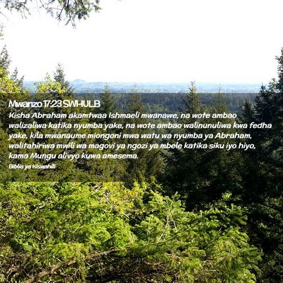 Picture 02 - Mwanzo 17:23 SWHULB - Kisha Abraham akamtwaa Ishmaeli mwanawe, na wote - Bible Verse Picture