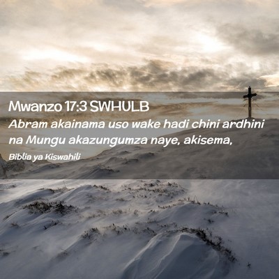 Picture 02 - Mwanzo 17:3 SWHULB - Abram akainama uso wake hadi chini ardhini na - Bible Verse Picture