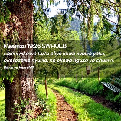 Picture 02 - Mwanzo 19:26 SWHULB - Lakini mke wa Lutu aliye kuwa nyuma yake, - Bible Verse Picture