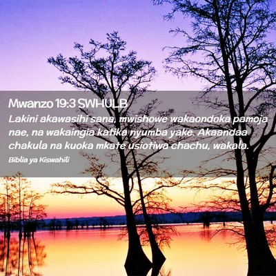 Picture 02 - Mwanzo 19:3 SWHULB - Lakini akawasihi sana, mwishowe wakaondoka pamoja - Bible Verse Picture