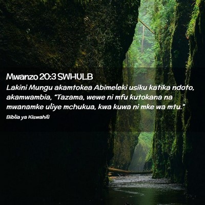 Picture 02 - Mwanzo 20:3 SWHULB - Lakini Mungu akamtokea Abimeleki usiku katika - Bible Verse Picture