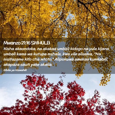 Picture 02 - Mwanzo 21:16 SWHULB - Kisha akaondoka, na akakaa umbali kidogo na yule - Bible Verse Picture