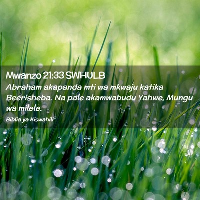 Picture 02 - Mwanzo 21:33 SWHULB - Abraham akapanda mti wa mkwaju katika Beerisheba. - Bible Verse Picture