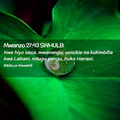 Picture 02 - Mwanzo 27:43 SWHULB - Kwa hiyo sasa, mwanangu, unisikie na kukimbilia - Bible Verse Picture