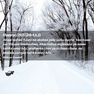 Picture 02 - Mwanzo 28:11 SWHULB - Akaja mahali fulani na akakaa pale usiku kucha, - Bible Verse Picture