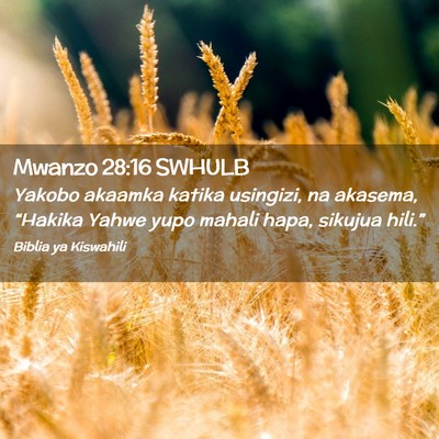 Picture 02 - Mwanzo 28:16 SWHULB - Yakobo akaamka katika usingizi, na akasema, - Bible Verse Picture