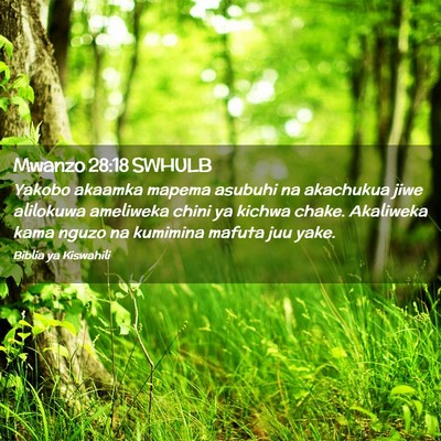 Picture 02 - Mwanzo 28:18 SWHULB - Yakobo akaamka mapema asubuhi na akachukua jiwe - Bible Verse Picture