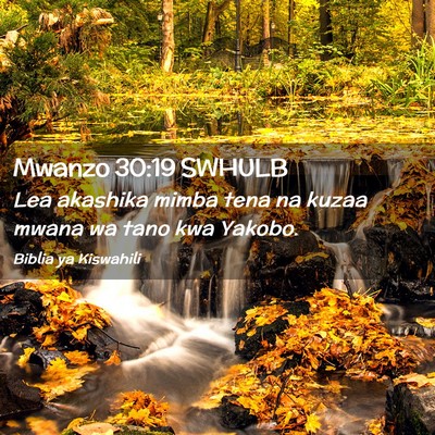 Picture 02 - Mwanzo 30:19 SWHULB - Lea akashika mimba tena na kuzaa mwana wa tano - Bible Verse Picture