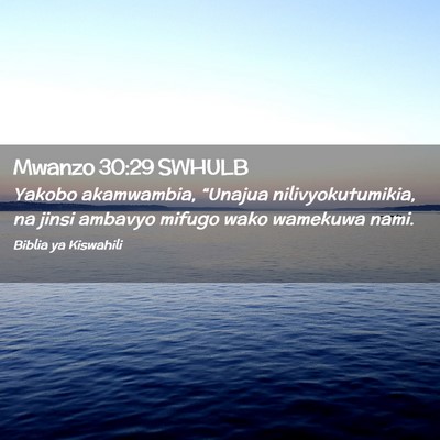 Picture 02 - Mwanzo 30:29 SWHULB - Yakobo akamwambia, “Unajua nilivyokutumikia, na - Bible Verse Picture