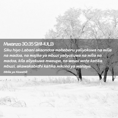 Picture 02 - Mwanzo 30:35 SWHULB - Siku hiyo Labani akaondoa mabeberu yaliyokuwa na - Bible Verse Picture