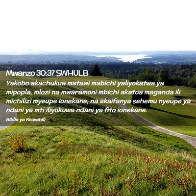 Picture 02 - Mwanzo 30:37 SWHULB - Yakobo akachukua matawi mabichi yaliyokatwa ya - Bible Verse Picture