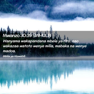 Picture 02 - Mwanzo 30:39 SWHULB - Wanyama wakapandana mbele ya fito; nao wakazaa - Bible Verse Picture