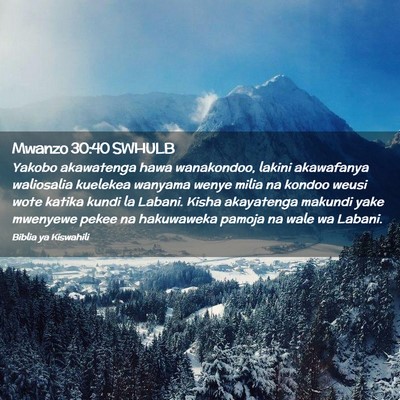 Picture 02 - Mwanzo 30:40 SWHULB - Yakobo akawatenga hawa wanakondoo, lakini - Bible Verse Picture