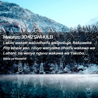 Picture 02 - Mwanzo 30:42 SWHULB - Lakini wakati waliodhaifu walipokuja, hakuweka - Bible Verse Picture