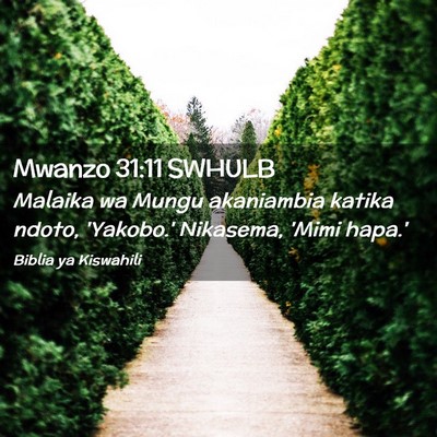 Picture 02 - Mwanzo 31:11 SWHULB - Malaika wa Mungu akaniambia katika ndoto, - Bible Verse Picture