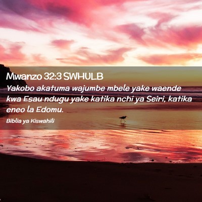Picture 02 - Mwanzo 32:3 SWHULB - Yakobo akatuma wajumbe mbele yake waende kwa Esau - Bible Verse Picture