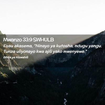 Picture 02 - Mwanzo 33:9 SWHULB - Esau akasema, “Ninayo ya kutosha, ndugu yangu. - Bible Verse Picture