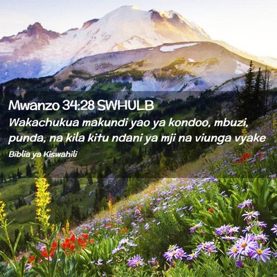 Picture 02 - Mwanzo 34:28 SWHULB - Wakachukua makundi yao ya kondoo, mbuzi, punda, - Bible Verse Picture