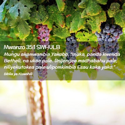Picture 02 - Mwanzo 35:1 SWHULB - Mungu akamwambia Yakobo, “Inuka, panda kwenda - Bible Verse Picture
