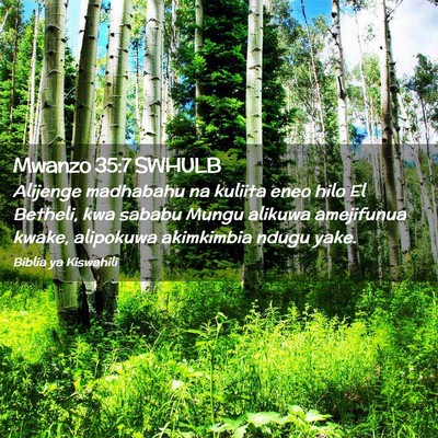Picture 02 - Mwanzo 35:7 SWHULB - Alijenge madhabahu na kuliita eneo hilo El - Bible Verse Picture