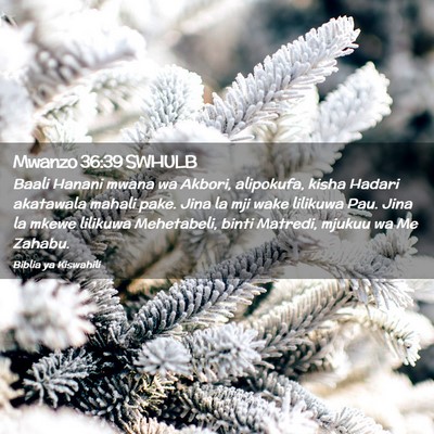Picture 02 - Mwanzo 36:39 SWHULB - Baali Hanani mwana wa Akbori, alipokufa, kisha - Bible Verse Picture