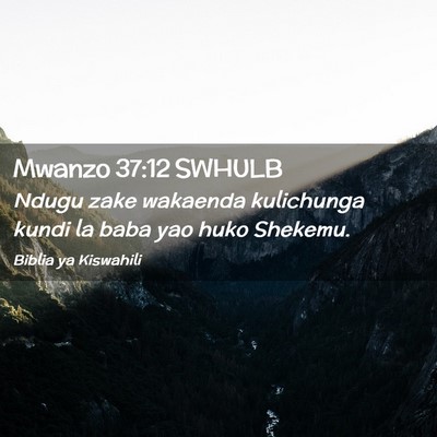 Picture 02 - Mwanzo 37:12 SWHULB - Ndugu zake wakaenda kulichunga kundi la baba yao - Bible Verse Picture