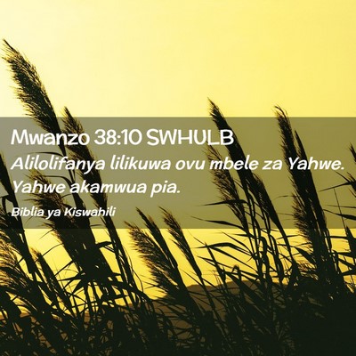 Picture 02 - Mwanzo 38:10 SWHULB - Alilolifanya lilikuwa ovu mbele za Yahwe. Yahwe - Bible Verse Picture