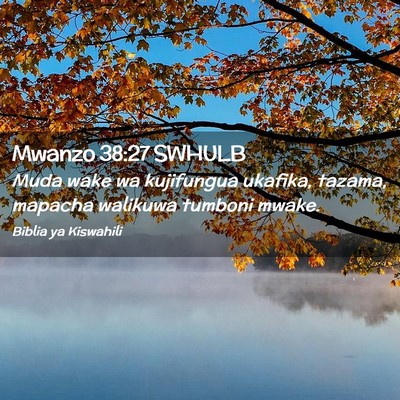 Picture 02 - Mwanzo 38:27 SWHULB - Muda wake wa kujifungua ukafika, tazama, mapacha - Bible Verse Picture