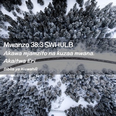 Picture 02 - Mwanzo 38:3 SWHULB - Akawa mjamzito na kuzaa mwana. Akaitwa - Bible Verse Picture