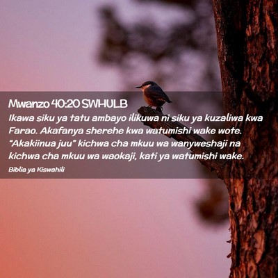 Picture 02 - Mwanzo 40:20 SWHULB - Ikawa siku ya tatu ambayo ilikuwa ni siku ya - Bible Verse Picture