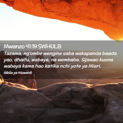 Picture 02 - Mwanzo 41:19 SWHULB - Tazama, ng'ombe wengine saba wakapanda baada yao, - Bible Verse Picture
