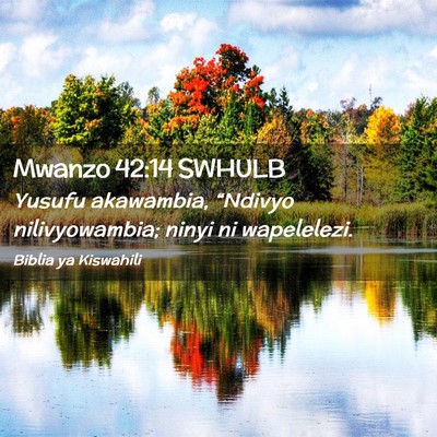 Picture 02 - Mwanzo 42:14 SWHULB - Yusufu akawambia, “Ndivyo nilivyowambia; ninyi - Bible Verse Picture