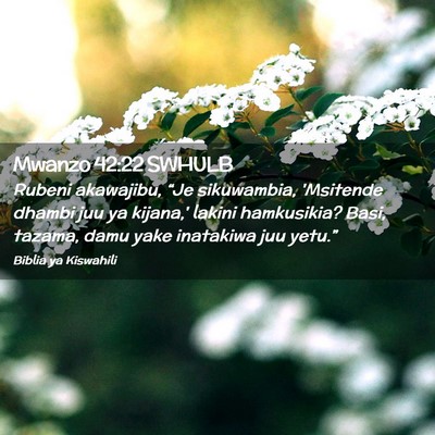 Picture 02 - Mwanzo 42:22 SWHULB - Rubeni akawajibu, “Je sikuwambia, 'Msitende - Bible Verse Picture